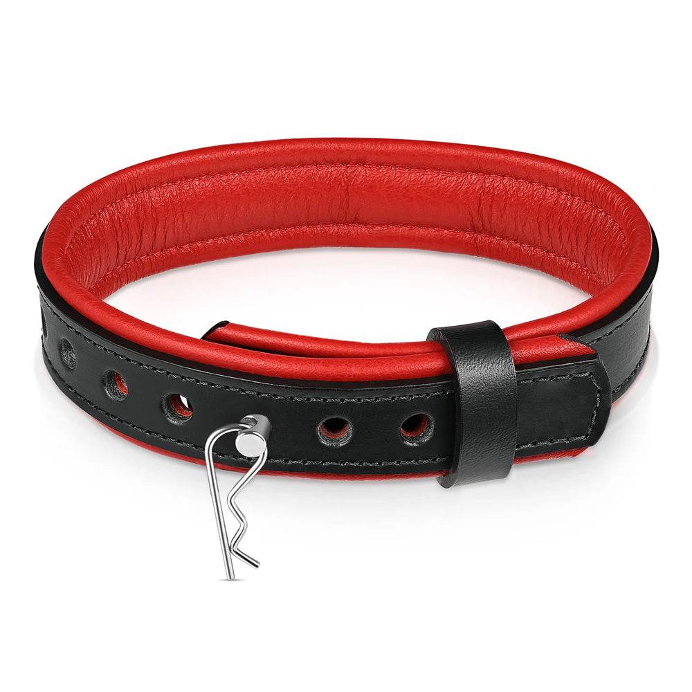Leather Collar with Horizontal Ring Black/Red - CoreFlexInd