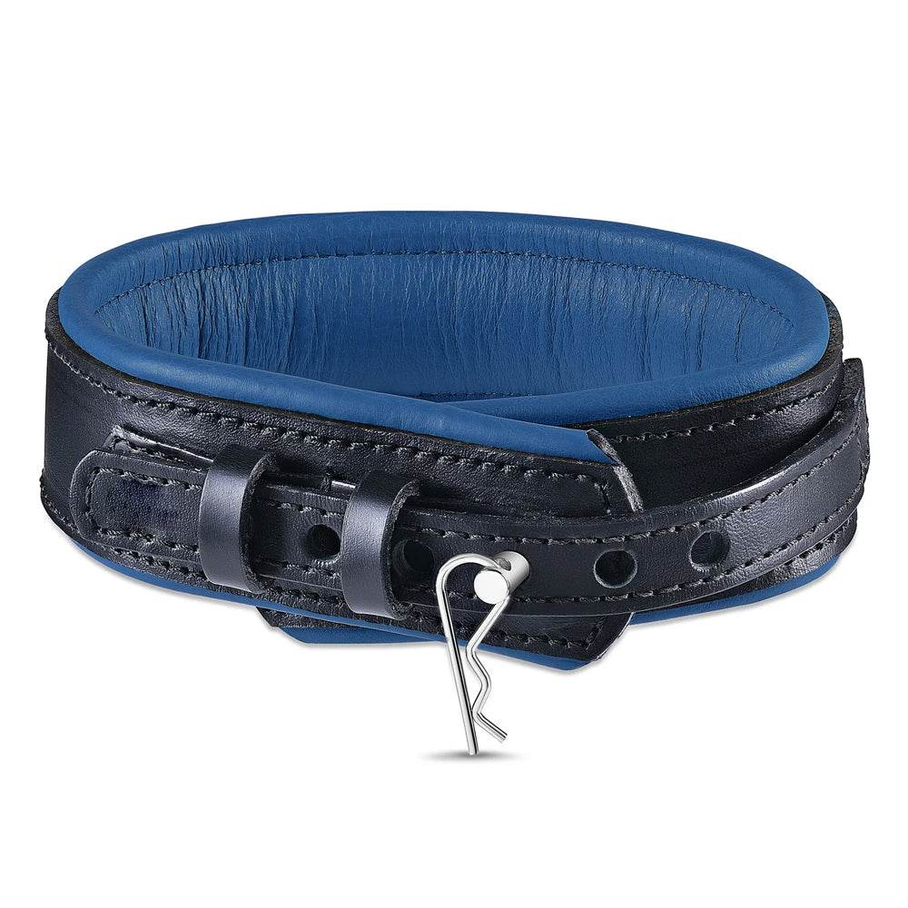 Leather Collar Black/Blue - CoreFlexInd
