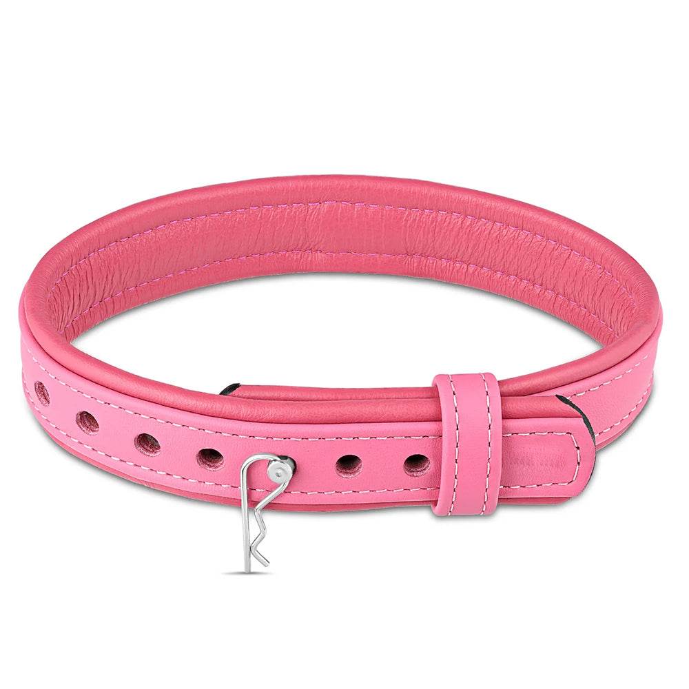 Leather Collar with Horizontal Ring - Pink - CoreFlexInd