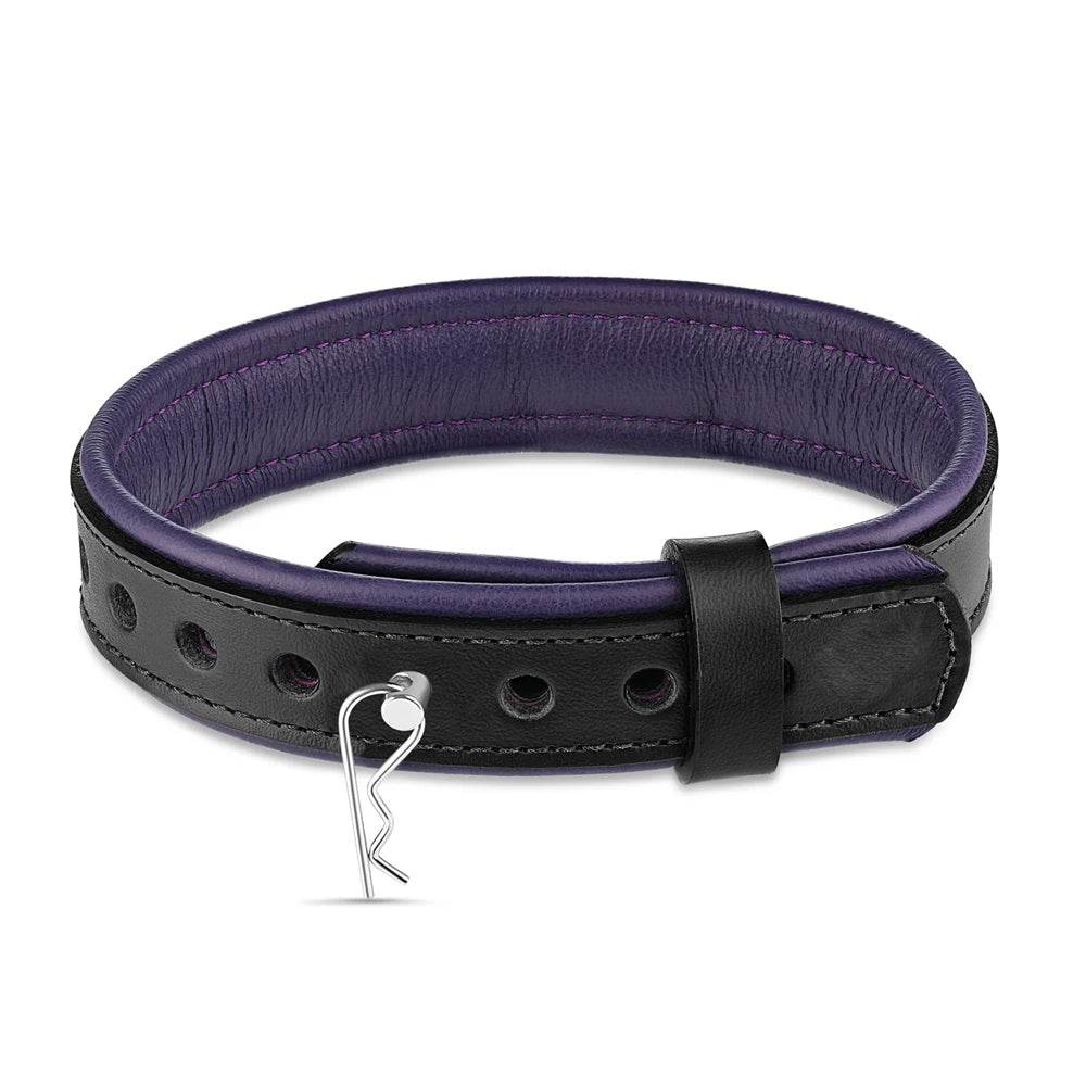 Leather Collar with Horizontal Ring Black/Purple - CoreFlexInd