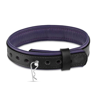 Leather Collar with Horizontal Ring Black/Purple - CoreFlexInd
