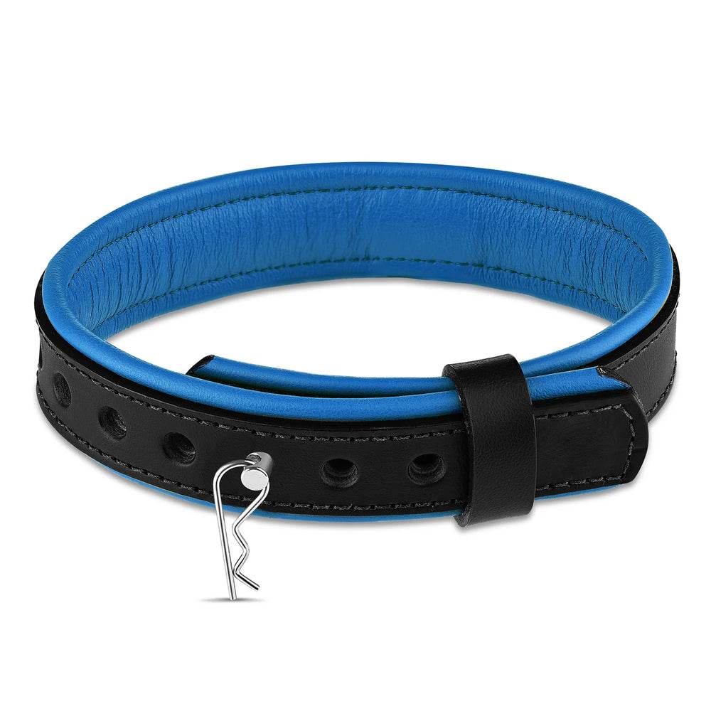 Leather Collar with Horizontal Ring Black/Blue - CoreFlexInd
