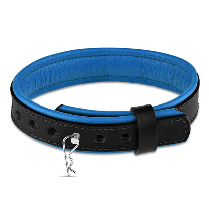 Leather Collar with Horizontal Ring Black/Blue - CoreFlexInd