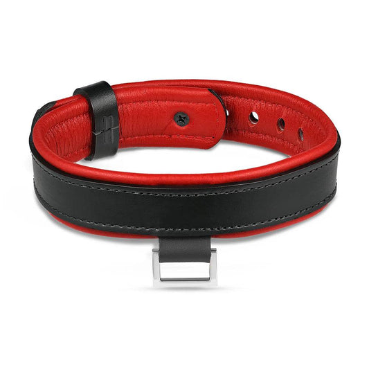 Leather Collar with Horizontal Ring Black/Red - CoreFlexInd