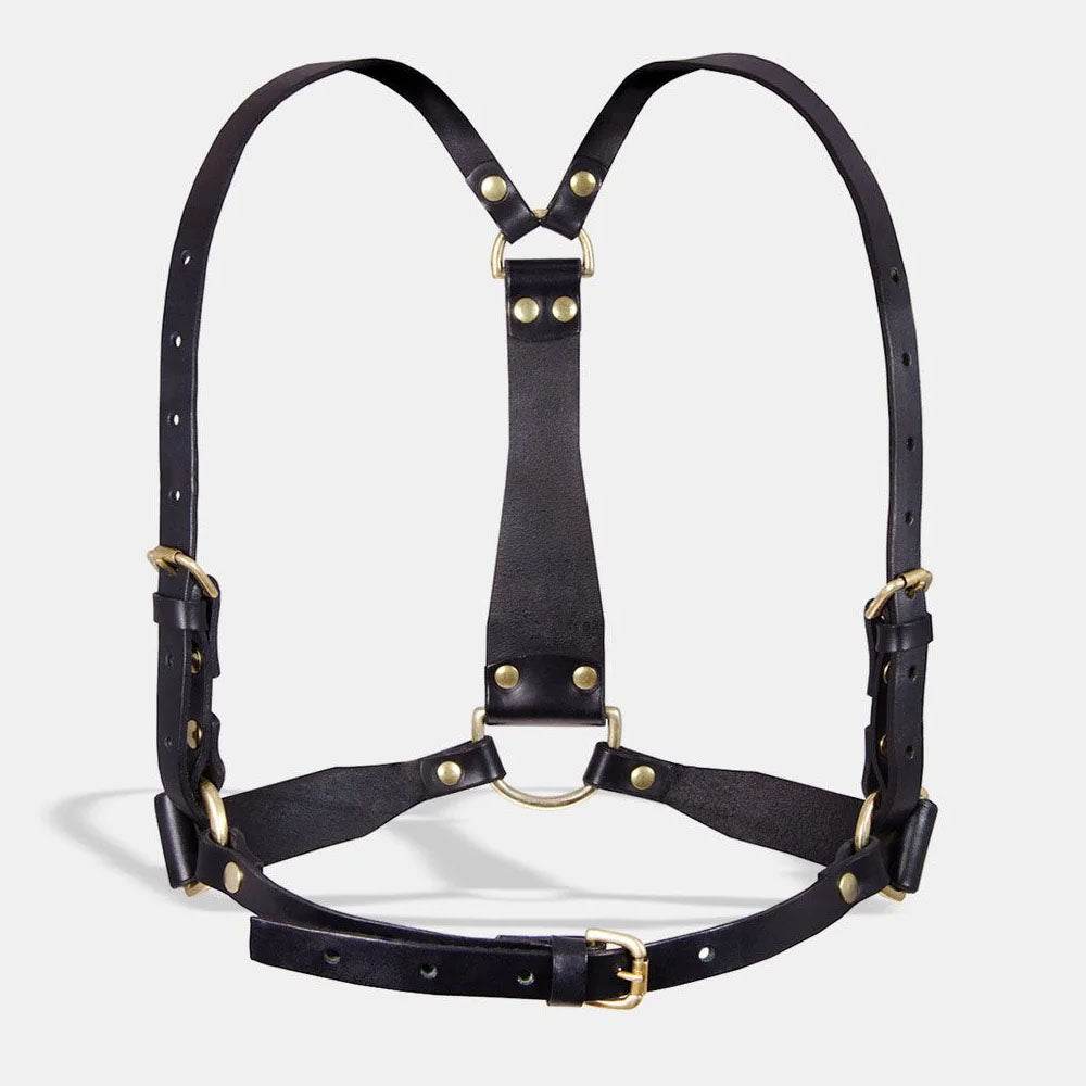 D-ring Harness - CoreFlexInd