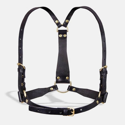 D-ring Harness - CoreFlexInd