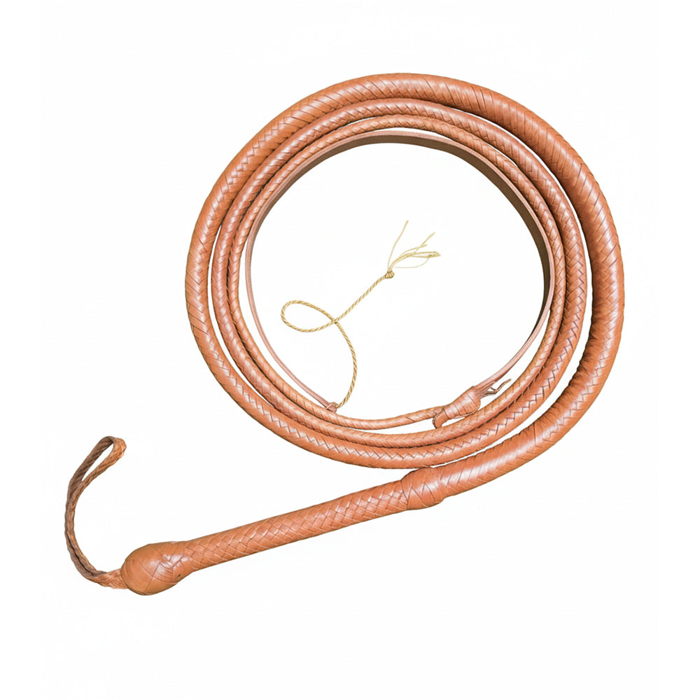 Leather Get Back Whip