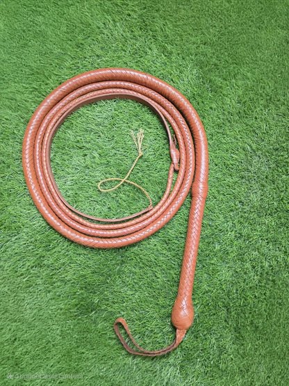 Brown leather whip on a green grass background